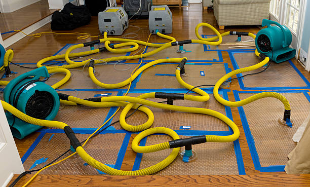 Professional Sewage Cleanup technician working in Ettrick, WI